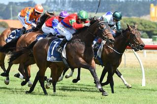 All In Vogue collected her second black-type win in Saturday’s $50,000 Wanganui Cup. Photo: Race Images Palmerston North